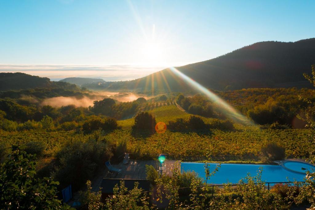 Agriturismo Il Serraglio มอนติปุลเชียโน ภายนอก รูปภาพ